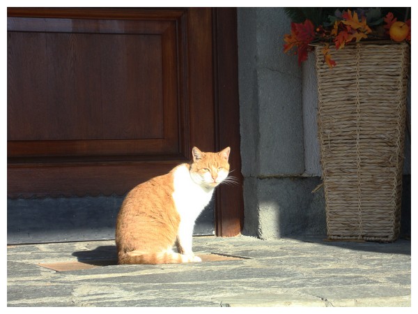 Image007