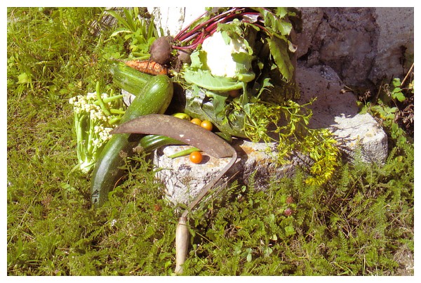 Image010