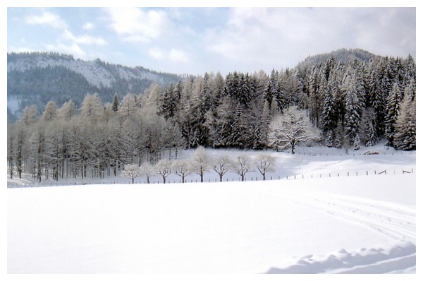 Image006